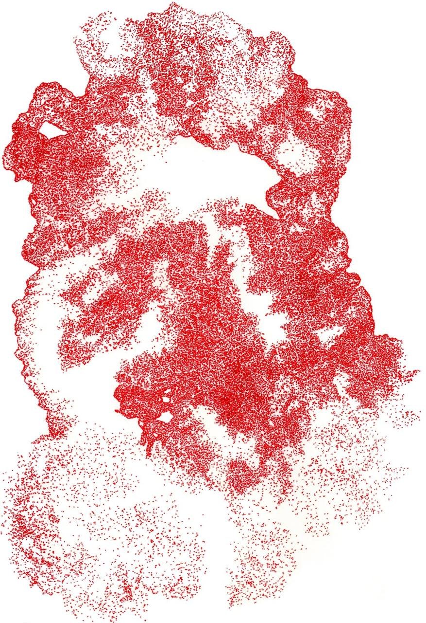 Red printed from a palm