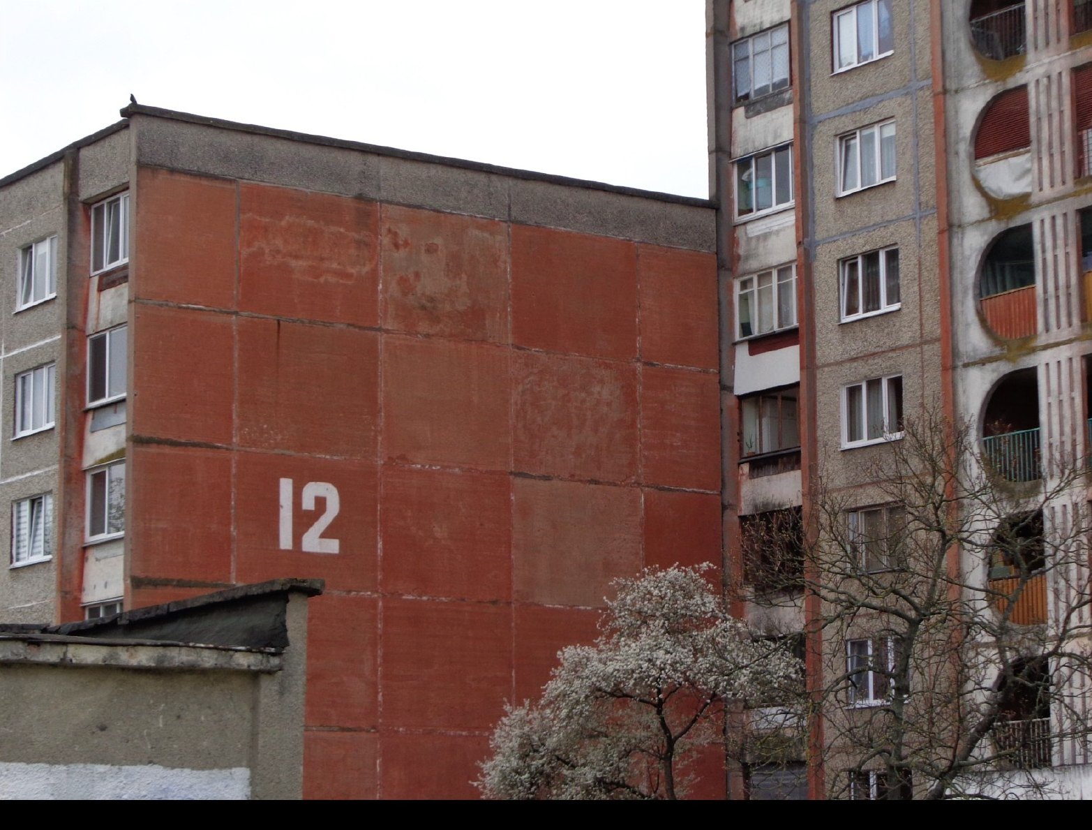 12